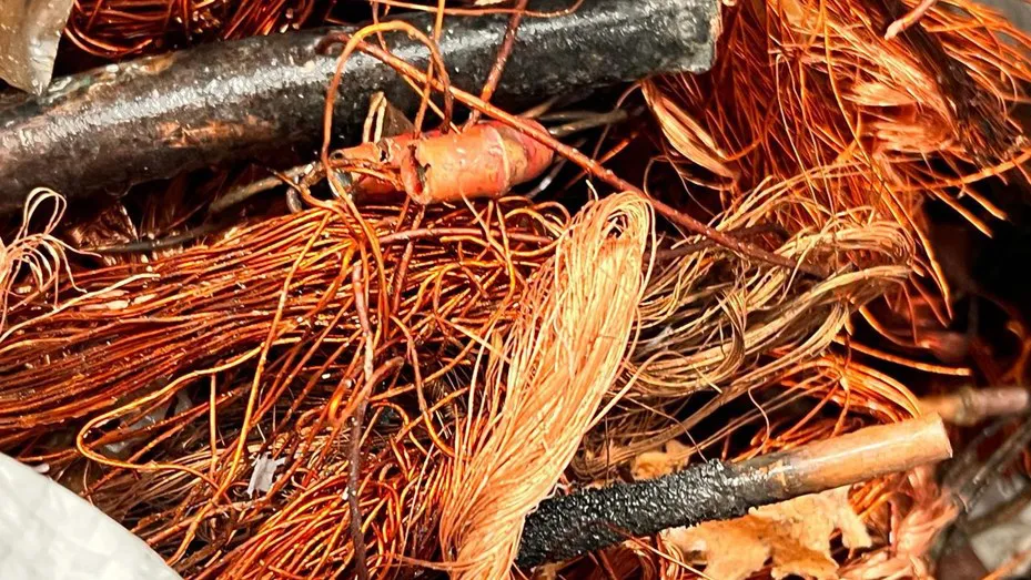 whatsapp-image-2024-02-23-at-115636-5