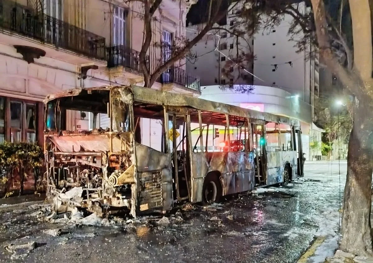 colectivo11