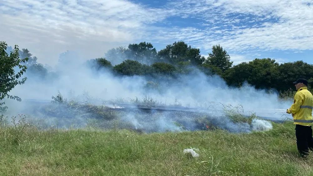 WhatsApp Image 2024-01-31 at 20.05.17