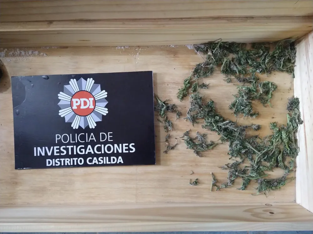 WhatsApp Image 2024-02-21 at 18.55.02 (1)