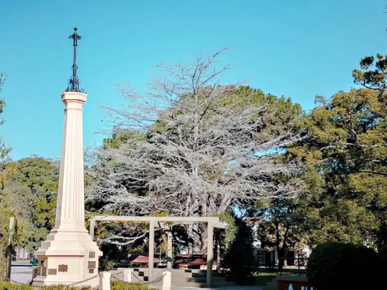 progreso-santa-fepng-1-768x576