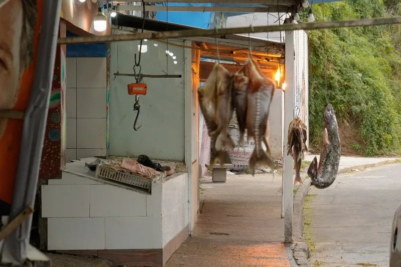 20240808-_dsc1007.jpg_158021514