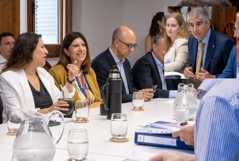 WhatsApp Image 2025-12-17 at 14.36.24