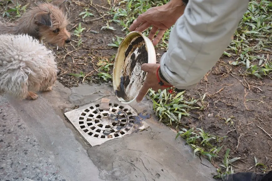 NFEKdilGk_870x580__1