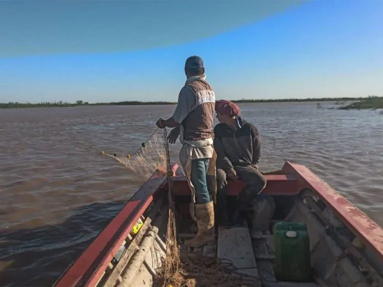 bajante-rio-parana1-768x576