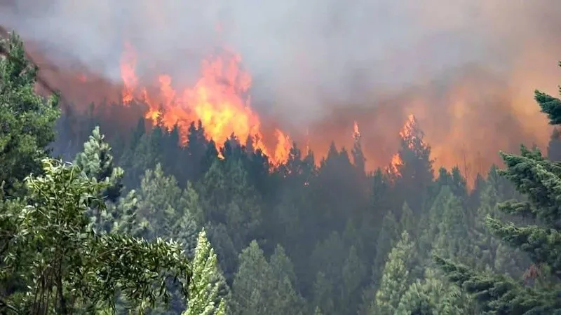 fuegopatagonia.jpg_760710429