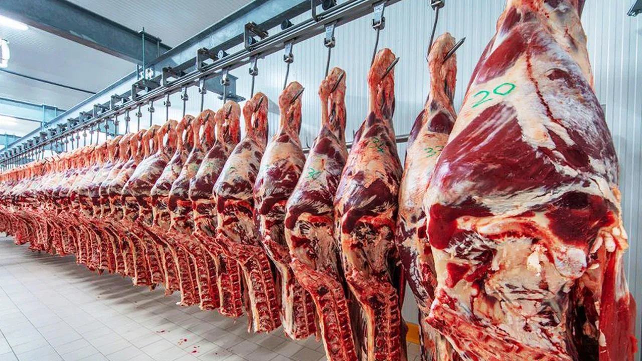 carne