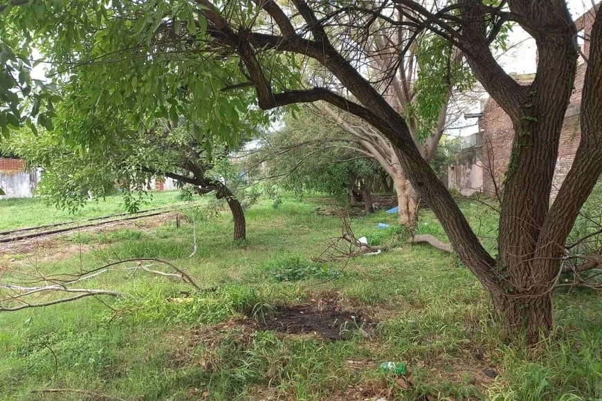 LiytKF9AH_870x580__1