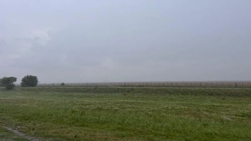 campo