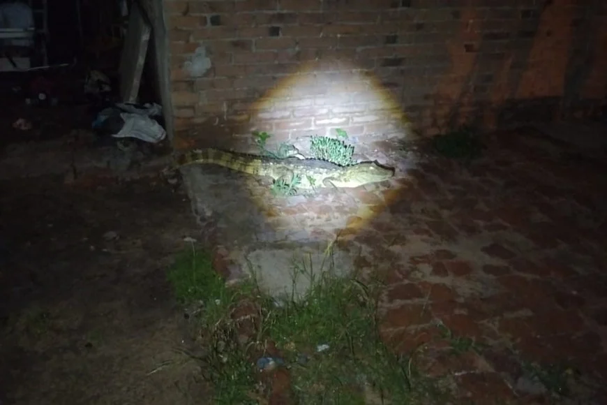 Se7MCp1IV_870x580__1