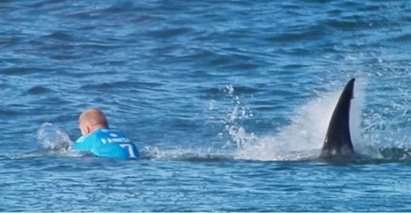 WhatsApp Image 2026-01-20 at 12.09.01