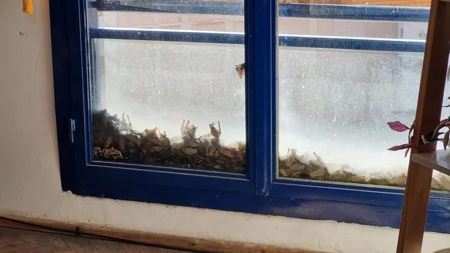 whatsapp-image-2024-05-15-at-153728