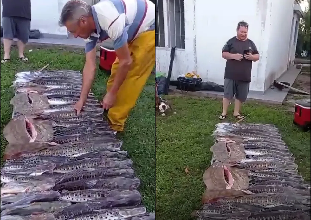pesca-ilegal-multados