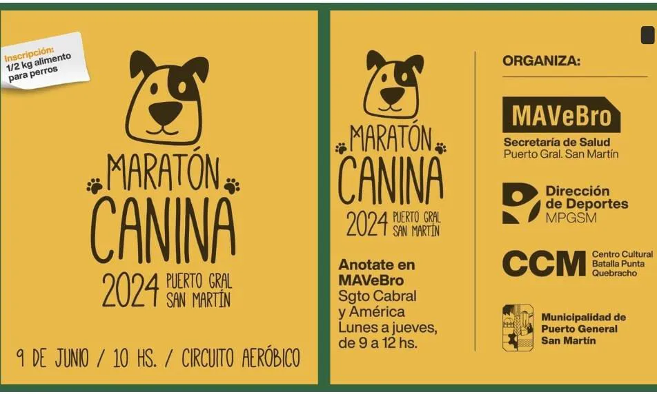 WhatsApp Image 2024-05-16 at 15.38.58