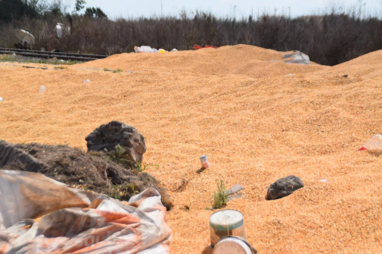 WhatsApp Image 2023-03-18 at 13.03.44