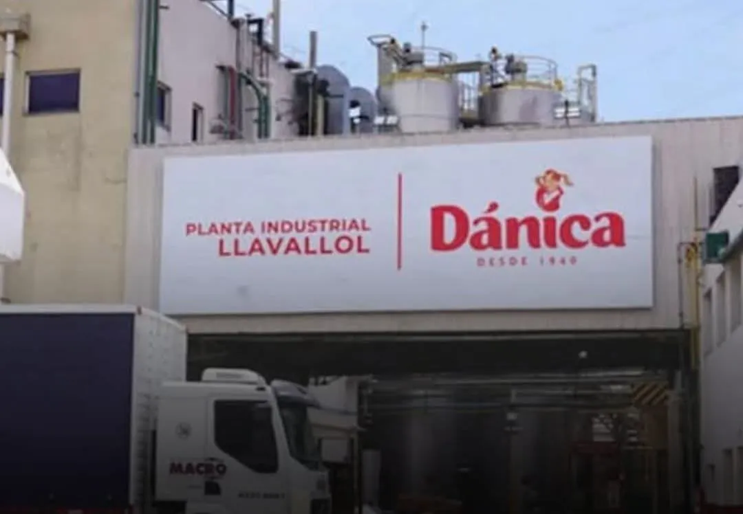 WhatsApp Image 2025-01-08 at 23.47.46