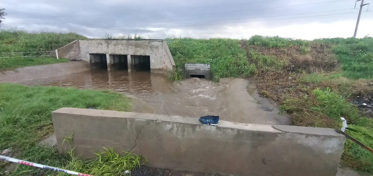 WhatsApp Image 2024-03-16 at 20.11.56