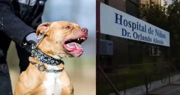 WhatsApp Image 2023-09-17 at 15.47.26