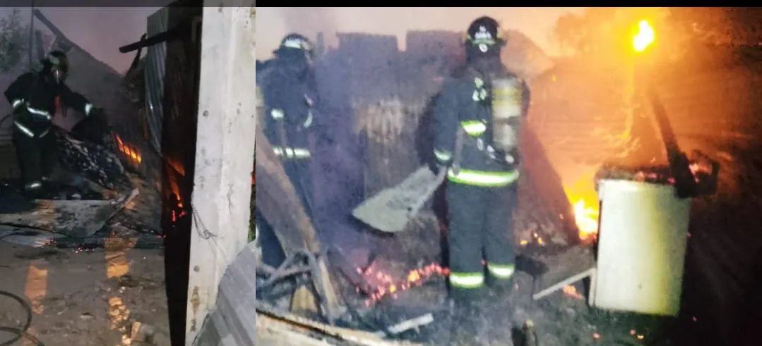 WhatsApp Image 2025-01-13 at 12.55.36