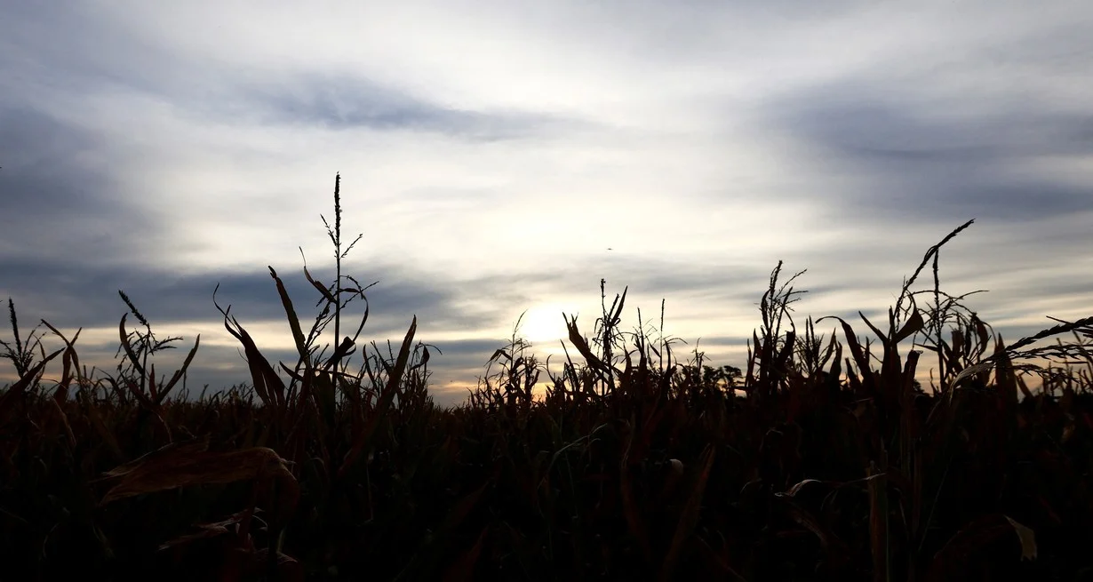 TDJC25y2a_1300x655__2