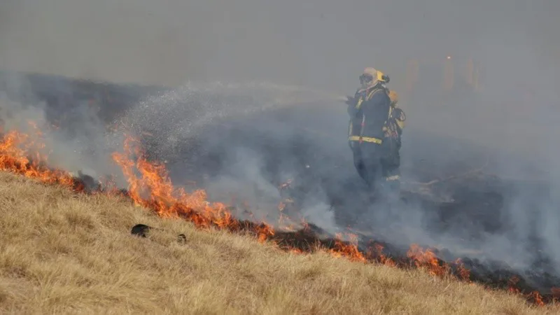 fuego_en_las_islas_crop1661000129999_crop1663334034067_crop1672920699471_crop1721042838179.jpg_1756841869