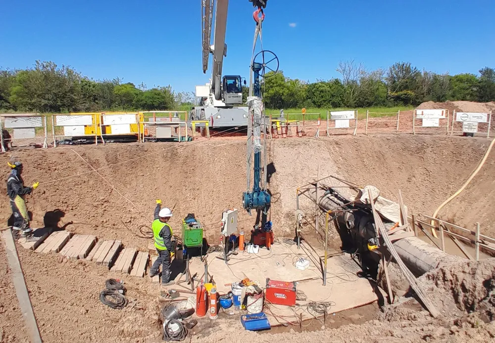 WhatsApp Image 2026-03-31 at 23.00.38