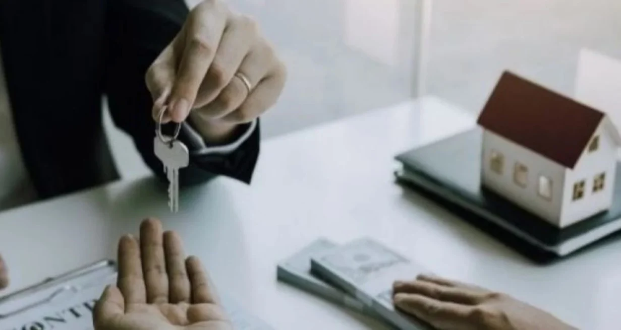 X3GULuDLf_1300x655__2