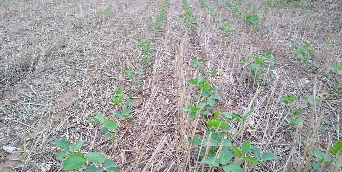 FRyQ7sdSU_1300x655__1