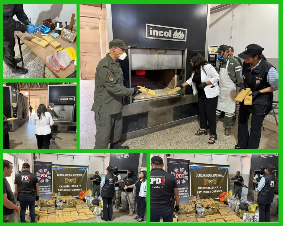 WhatsApp Image 2025-11-26 at 20.45.45