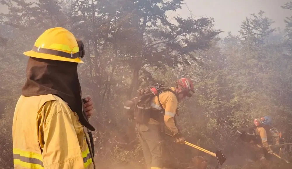 WhatsApp Image 2026-02-02 at 12.20.47