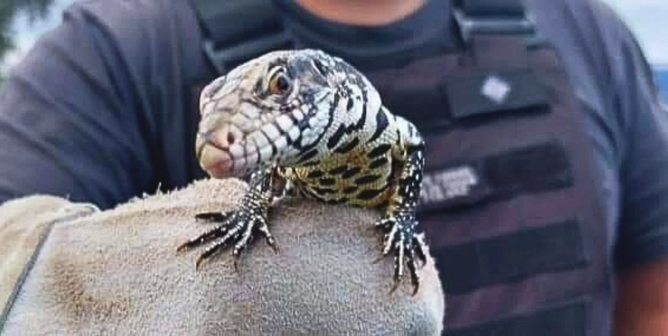 policia ecologica de santa fe