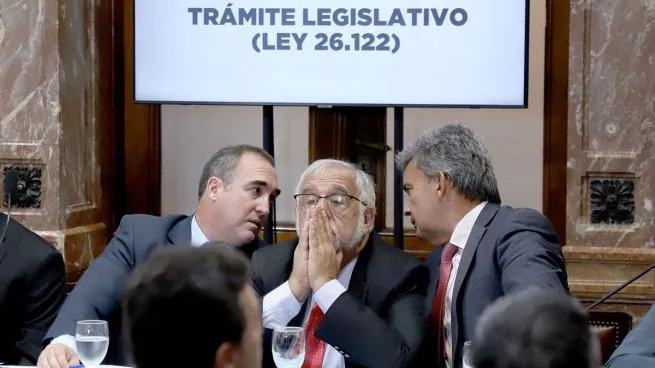 juan-carlos-pagotto-senador-la-nacion-argentina-bicameral-dnu