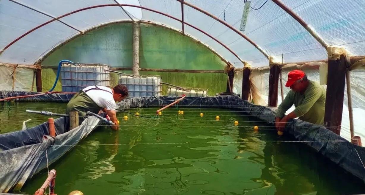 yf_flGgZR_1300x655__2