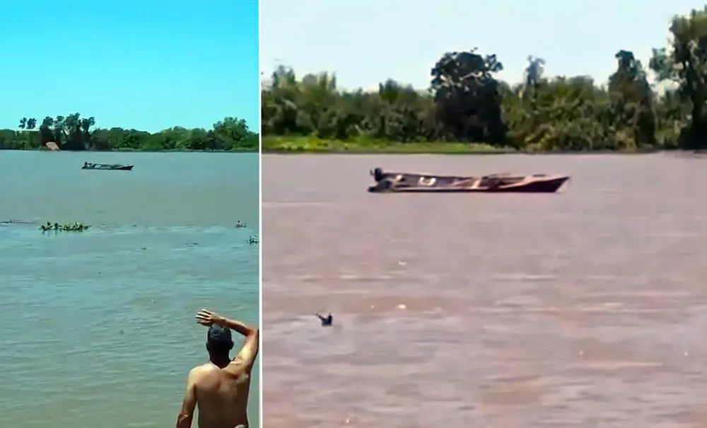 sauce-viejo-lancha-muertos