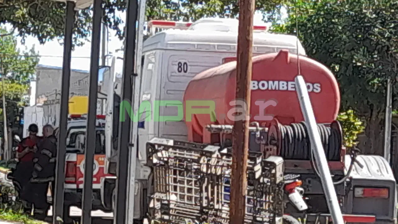 Imagen de WhatsApp 2024-02-01 a las 10.44.38_27bc3492