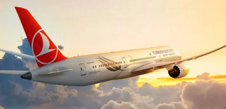 Proyecto-nuevo-2024-10-10T094113.328-768x371