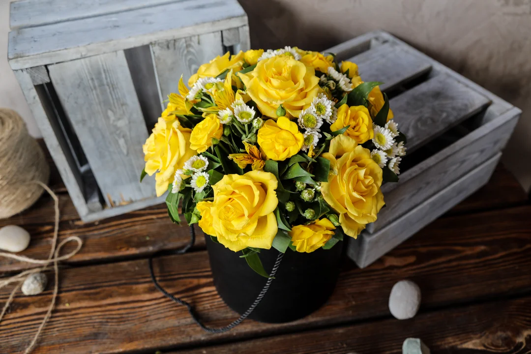 flores