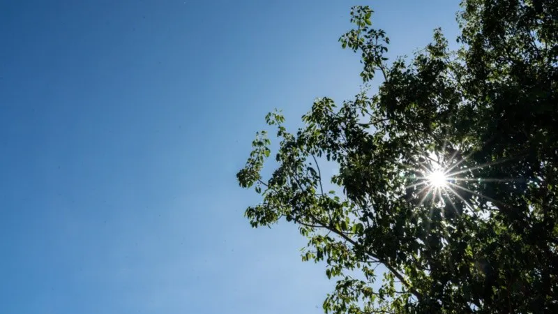 climasoleado.jpg_1756841869