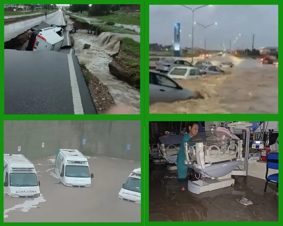 WhatsApp Image 2025-03-07 at 11.52.36